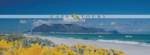 Table Mountain