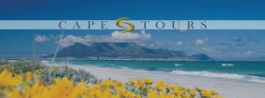 Table Mountain