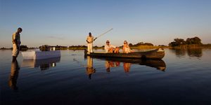 Mokoro Water Bar