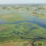 Okavango Delta