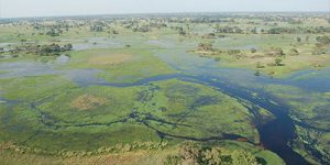 Okavango Delta