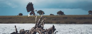 Botswana Holiday