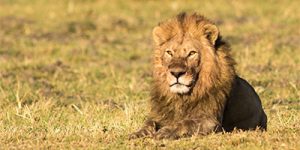 Botswana