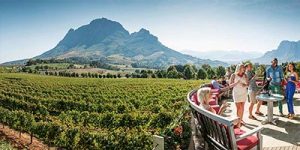 Franschhoek wine route