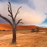 Deadvlei landscape