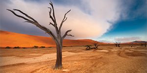 Deadvlei landscape