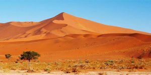 Sossusvlei Dunes