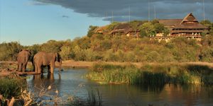Victoria Falls safari lodge