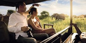 South Africa safari