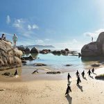 Boulders Beach Penguins