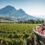 Franschhoek winelands