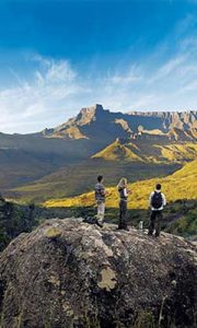 kwazulu natal