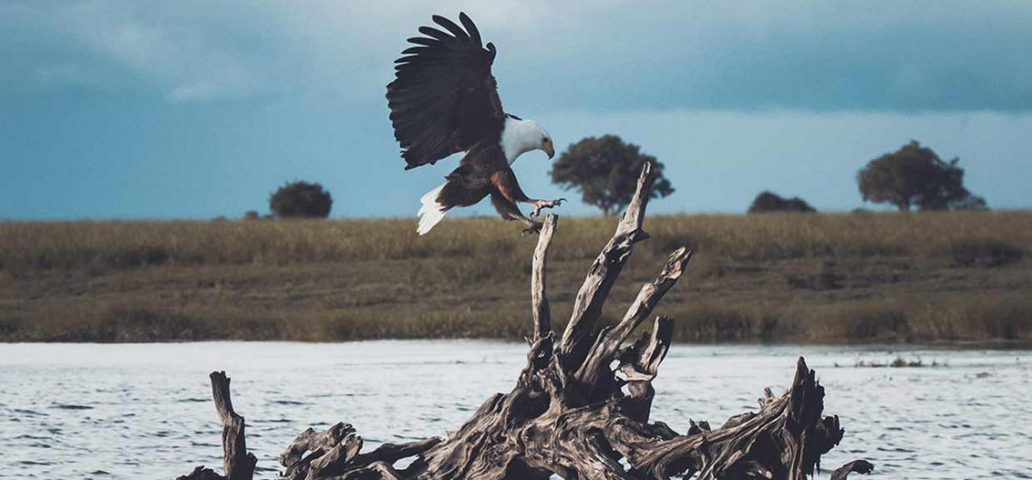 Botswana