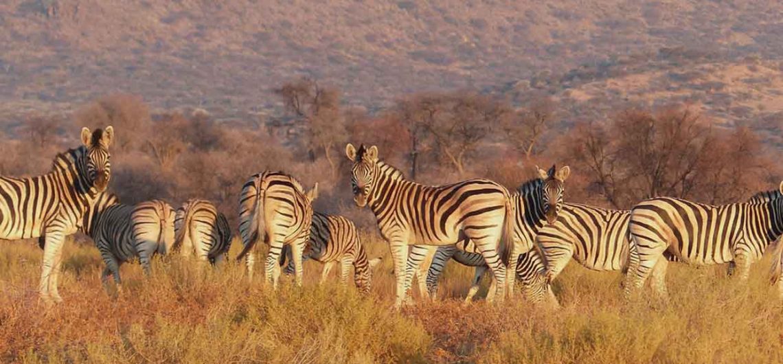 south africa