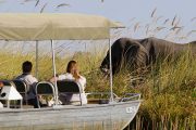 Chobe Water Safari
