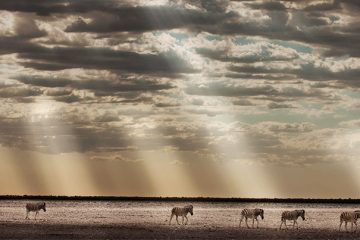 classic kaleidoscop namibia featured