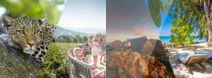 Holiday Ideas