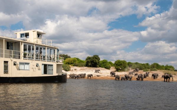 Chobe-Princess-