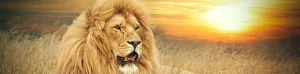 South Africa Holidays
