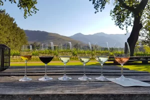 Stellenbosch, Winelands