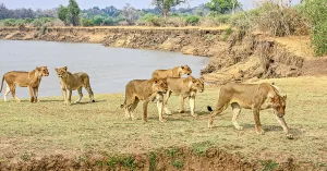 Zambia Holidays