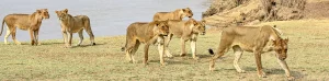 Zambia Holidays