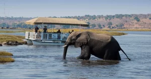 Boating in Chobe National Park
