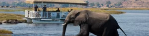 Boating in Chobe National Park