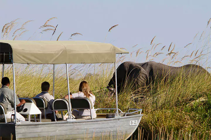 Chobe Water Safari