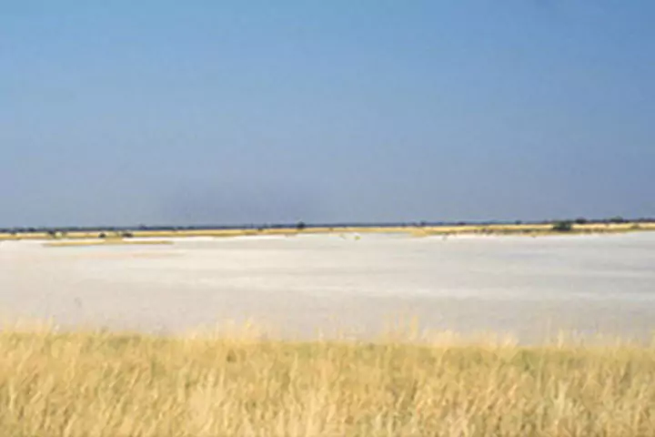 Makgadikgadi Salt Pans