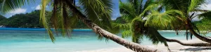 Seychelles Beach