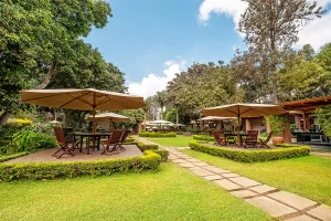 arusha-coffee-lodge-gardens