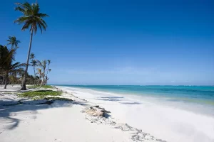 baraza-resort-main-areas-beach