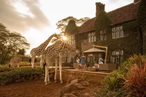 giraffe-manor-outside-seating