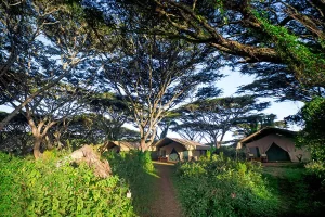 lemala-ngorongoro-main-areas-camp-pathways