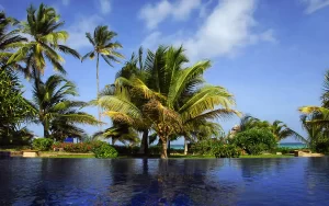 palms-infinity-pool