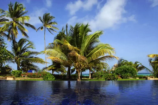 palms-infinity-pool