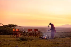serians-serengeti-lamai-fireplace