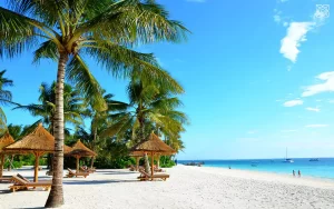 zuri-zanzibar-main-areas-beach