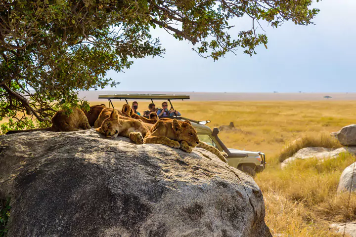 Big Five, Kenya