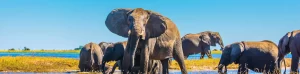 Botswana Holidays