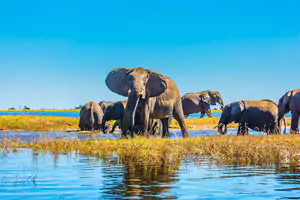 Botswana Holidays