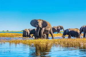 Botswana Holidays