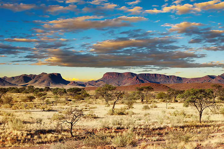 Kalahari Desert