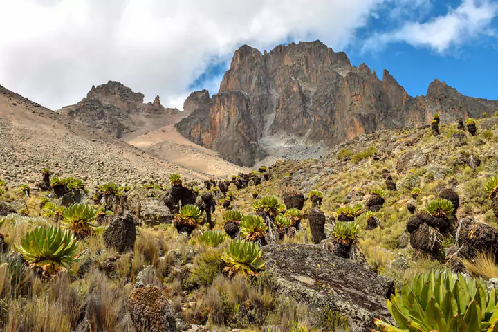 Mount Kenya, Kenya