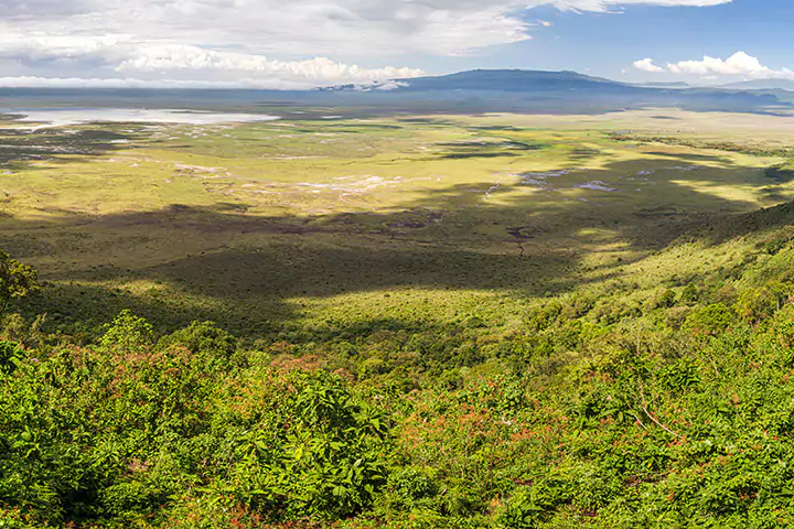 Ngorongoro