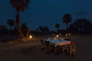 Potato Bush Camp dinner, Zambia