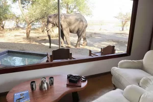 Potato Bush Camp safari-tent-view, Zambia