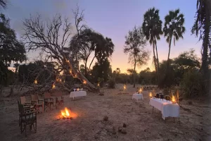 Sausage Tree bush-dinner, Zambia