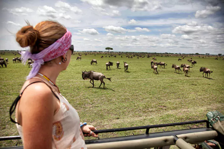 Serians Serengeti Game Drives, Tanzania